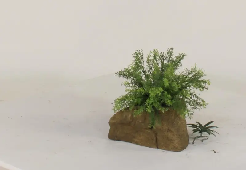 Pot Rock - 006