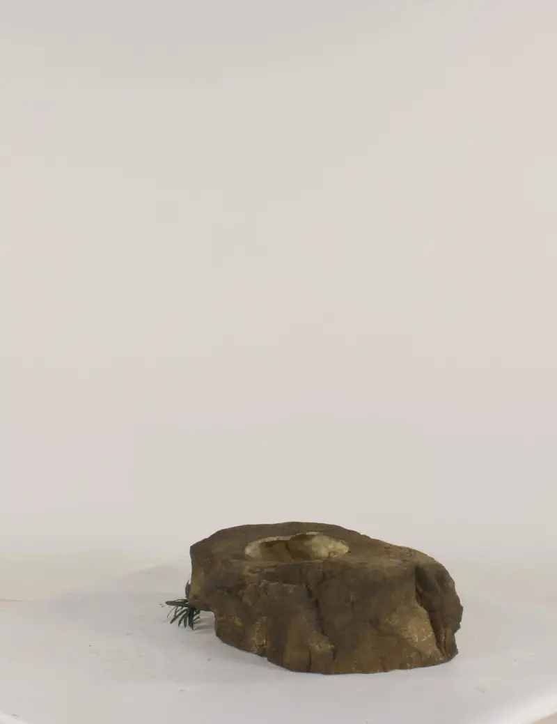 Pot Rock - 008
