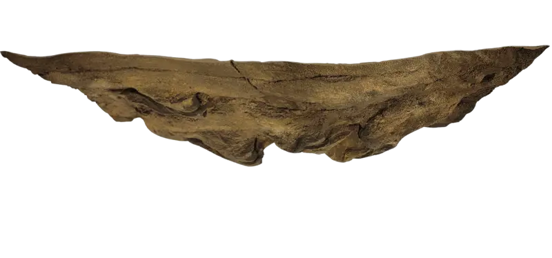 48" x 24" Ledge