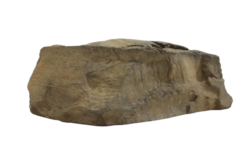 Pool Sample